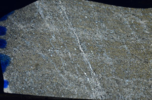 Cross Polarized, N8118