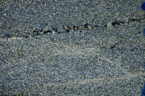Cross Polarized, N8128