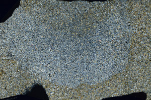 Cross Polarized, N8133