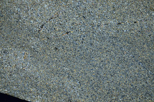 Cross Polarized, N8148