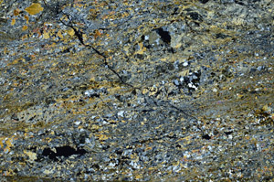 Cross Polarized, N8161