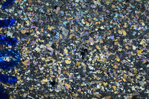 Cross Polarized, N8162