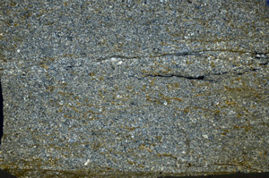 Cross Polarized, N8163