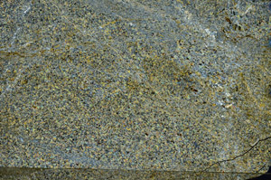 Cross Polarized, N8167