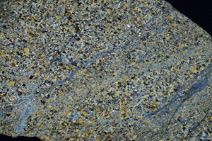 Cross Polarized, N8179