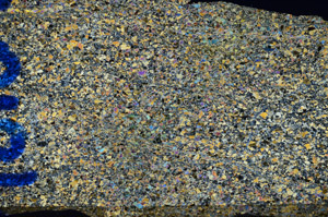 Cross Polarized, N8195