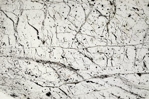 Plane Polarized, N8199