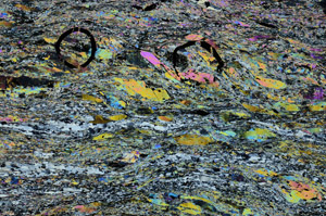 Cross Polarized, N8205