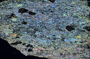 Cross Polarized, N8217