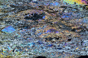 Cross Polarized, N8219