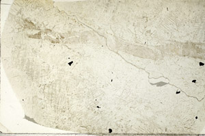 Plane Polarized, N8226