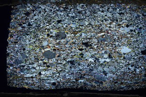 Cross Polarized, N8261