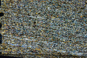 Cross Polarized, N8267