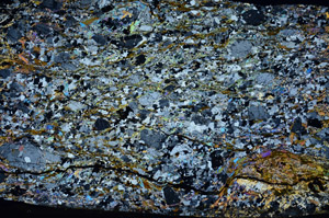 Cross Polarized, N8271