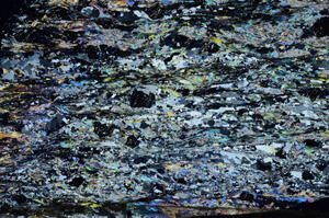 Cross Polarized, N8278