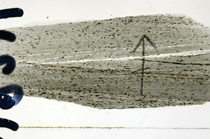 Plane Polarized, N8316