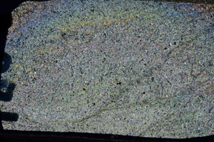 Cross Polarized, N8341