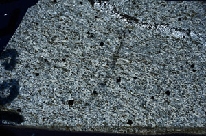 Cross Polarized, N8356