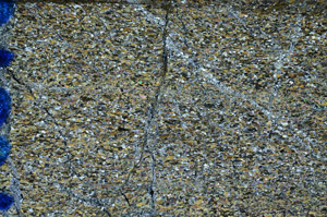 Cross Polarized, N8362