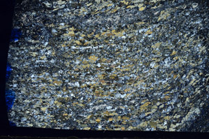 Cross Polarized, N8368/A