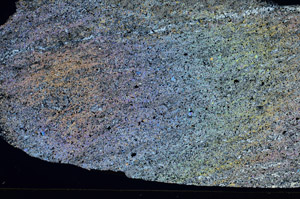 Cross Polarized, N8383