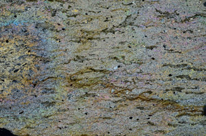Cross Polarized, N8396