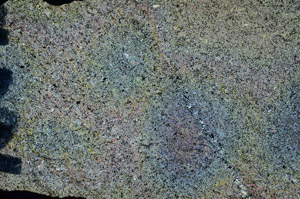 Cross Polarized, N8417