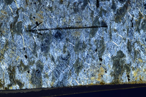 Cross Polarized, N8427/A