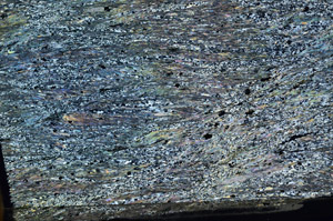 Cross Polarized, N8434