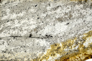 Plane Polarized, N8439
