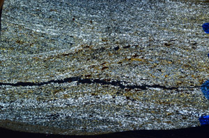 Cross Polarized, N8460