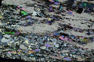 Cross Polarized, N8463