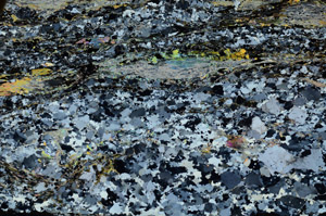 Cross Polarized, N8467