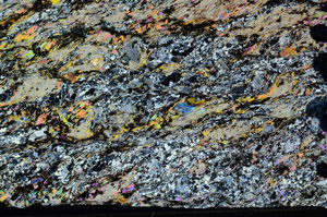 Cross Polarized, N8468