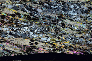 Cross Polarized, N8472