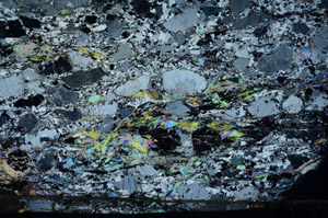 Cross Polarized, N8478