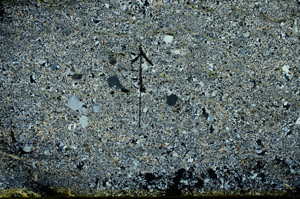 Cross Polarized, N8487/A