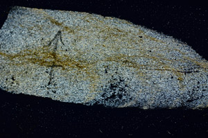 Cross Polarized, N8488