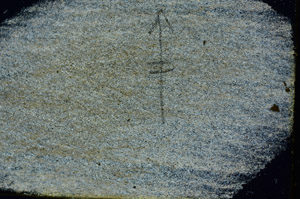 Cross Polarized, N8489
