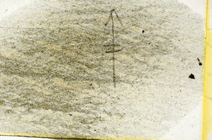 Plane Polarized, N8489
