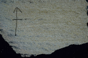 Cross Polarized, N8489/A
