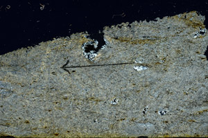 Cross Polarized, N8495/A