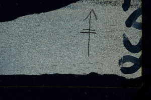 Cross Polarized, N8507/B