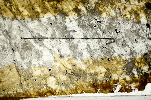 Plane Polarized, N8542