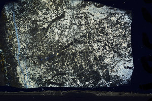 Cross Polarized, N8558