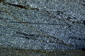 Cross Polarized, N8570