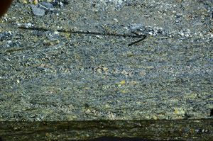 Cross Polarized, N8577