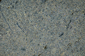 Cross Polarized, N8631