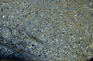 Cross Polarized, N8634