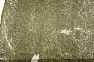 Plane Polarized, N8644